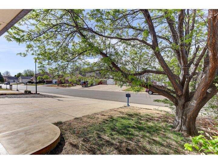 Property Photo:  145 Falcon Cir  CO 80542 