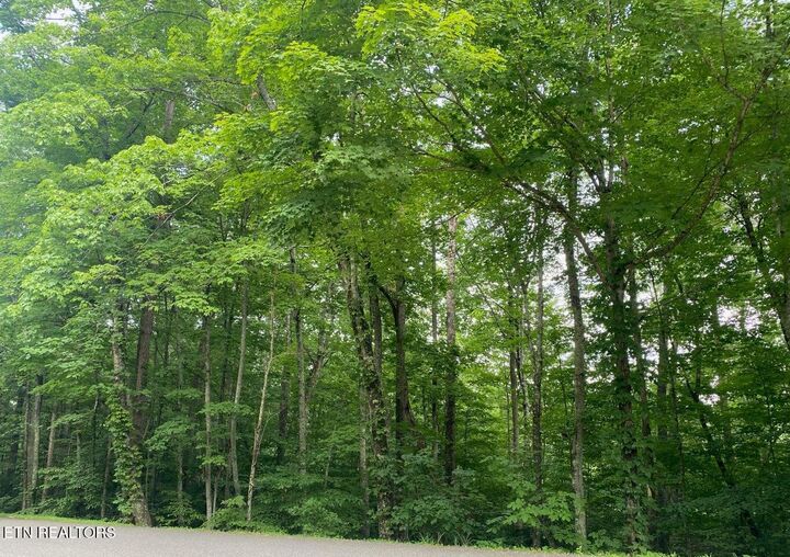 Property Photo:  0 Cove Norris Rd  TN 37714 