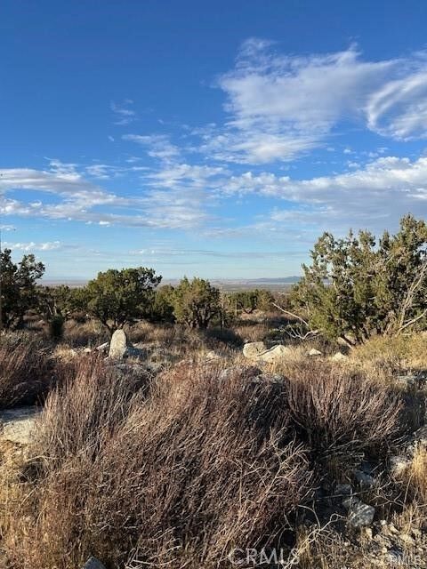 Property Photo:  0 Yucca  CA 92372 