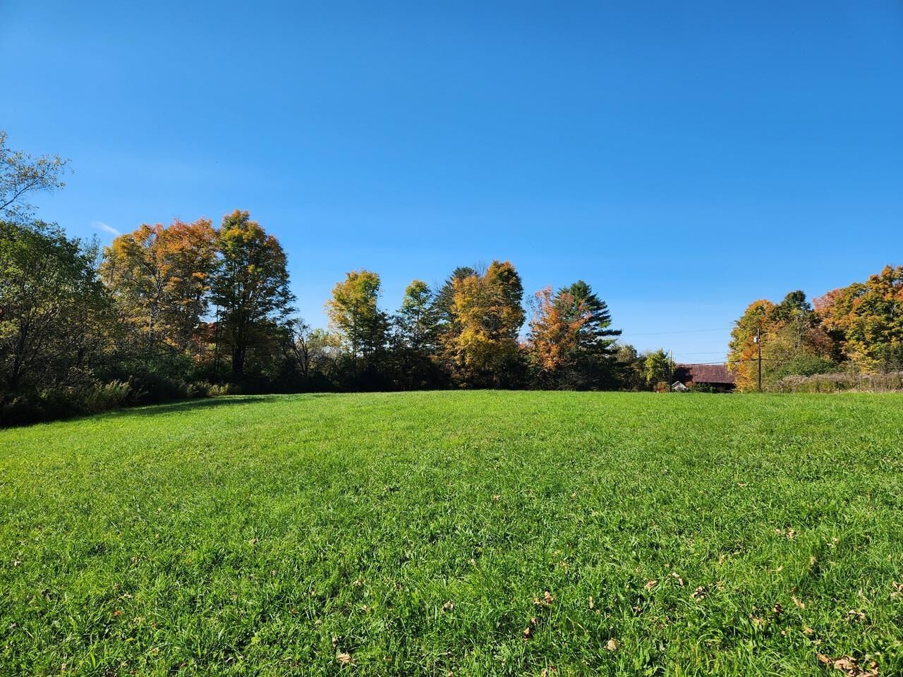 Property Photo:  153 Shackett Road  VT 05733 