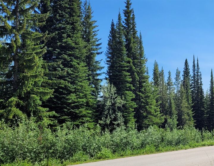Property Photo: 248 Wapiti Creek Road BC V0H 1T0
