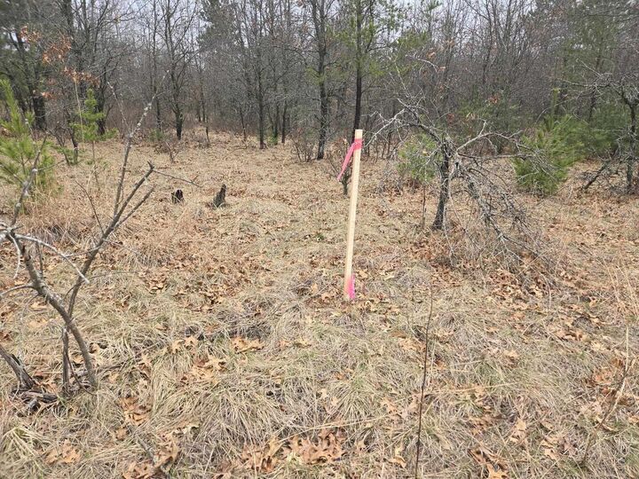 Property Photo:  826 County Road C  WI 54943 