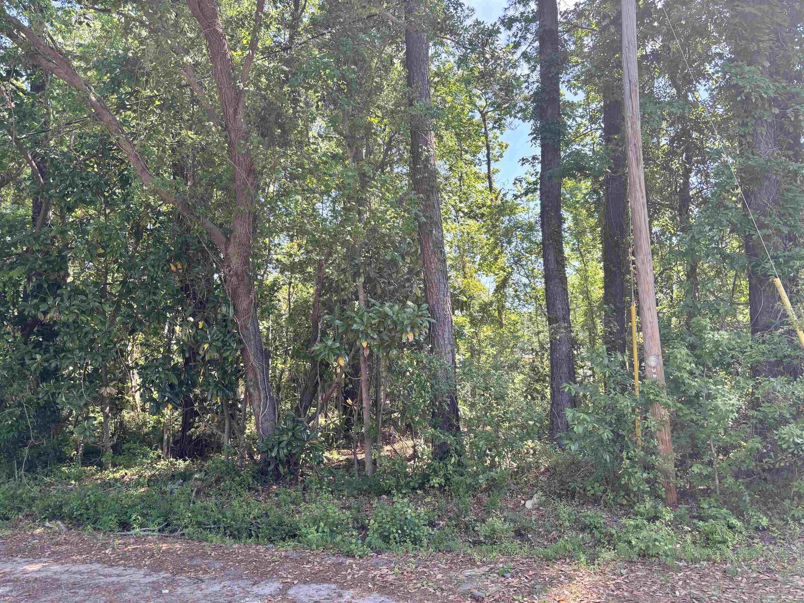 Property Photo: Tbd Wilson Ln SC 29526