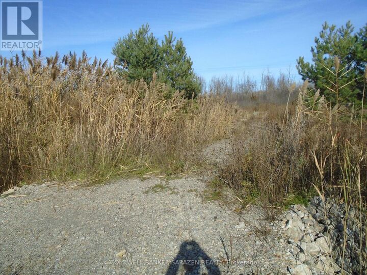 Property Photo:  49 Rideau Avenue  ON K7A 4W1 