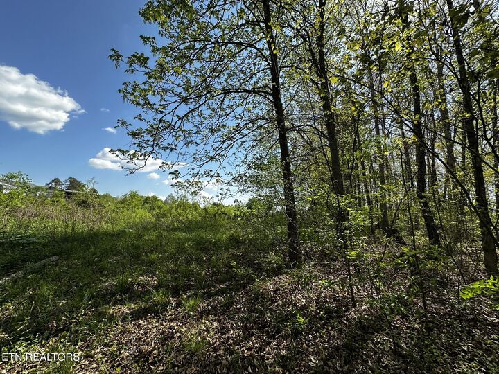 Property Photo:  105 Johnson Hollow Lane  TN 37745 