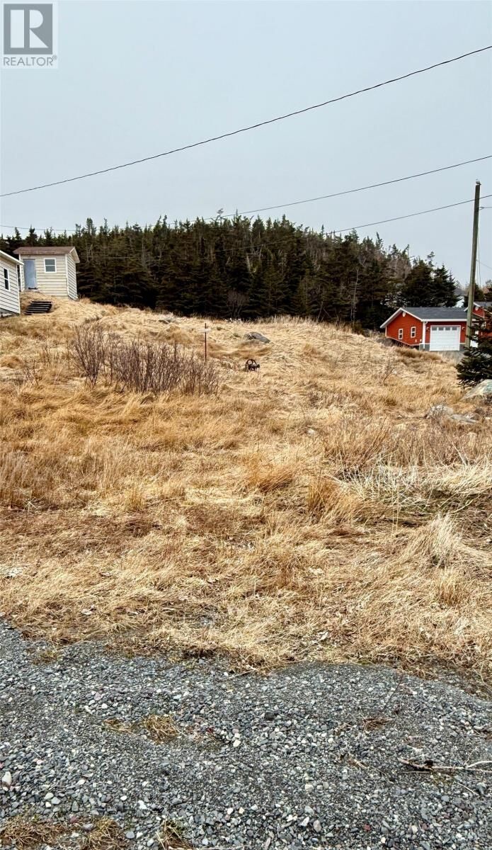 Property Photo:  48 Old Settlement Hill  NL A0B 1W0 