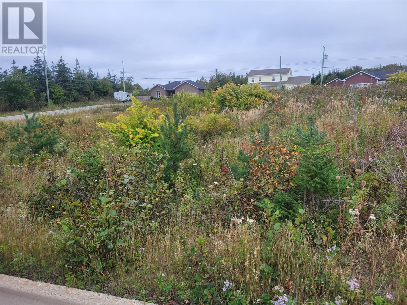 Property Photo:  1 Ridgeview Avenue  NL A2N 0B7 