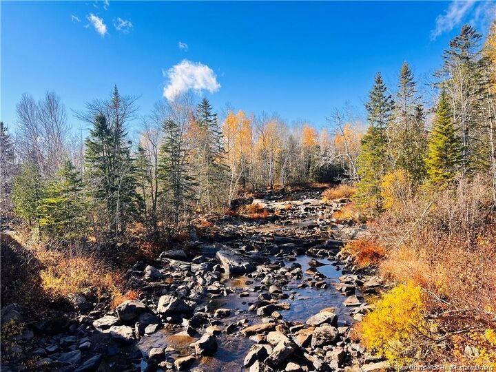 Property Photo:  243 Acres Little River Road  NB E2A 6L7 