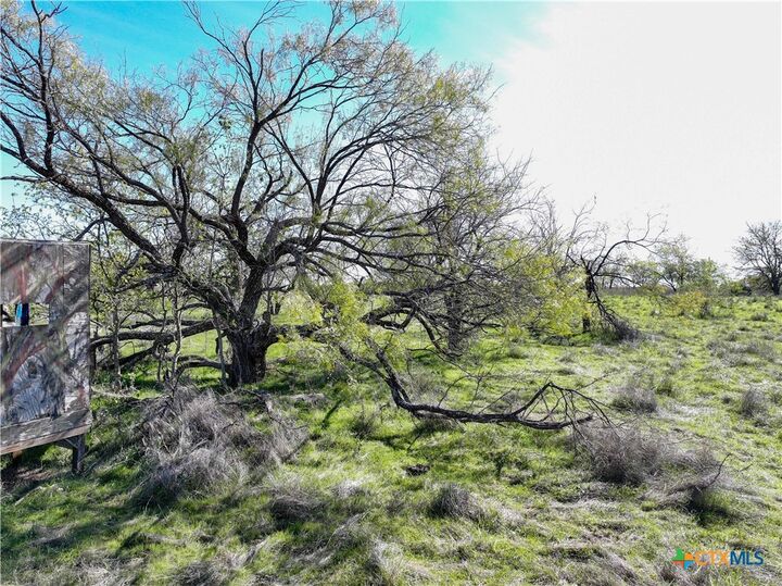 Property Photo:  Tbd Prairie Dell Road  TX 76571 