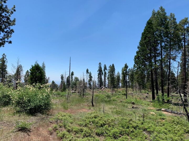 Property Photo:  1 Shaver Lake  CA 93602 