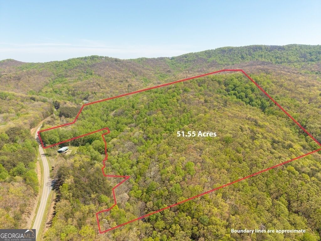 Property Photo:  0 Burnt Mountain Road  GA 30536 