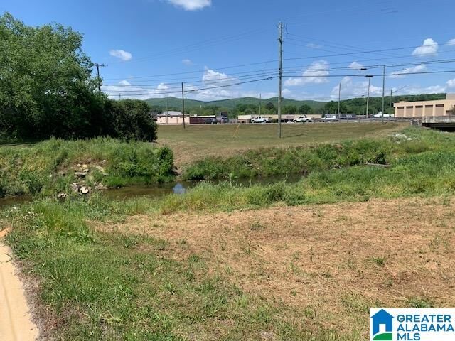 Property Photo:  0 Highway 78 1  AL 36203 