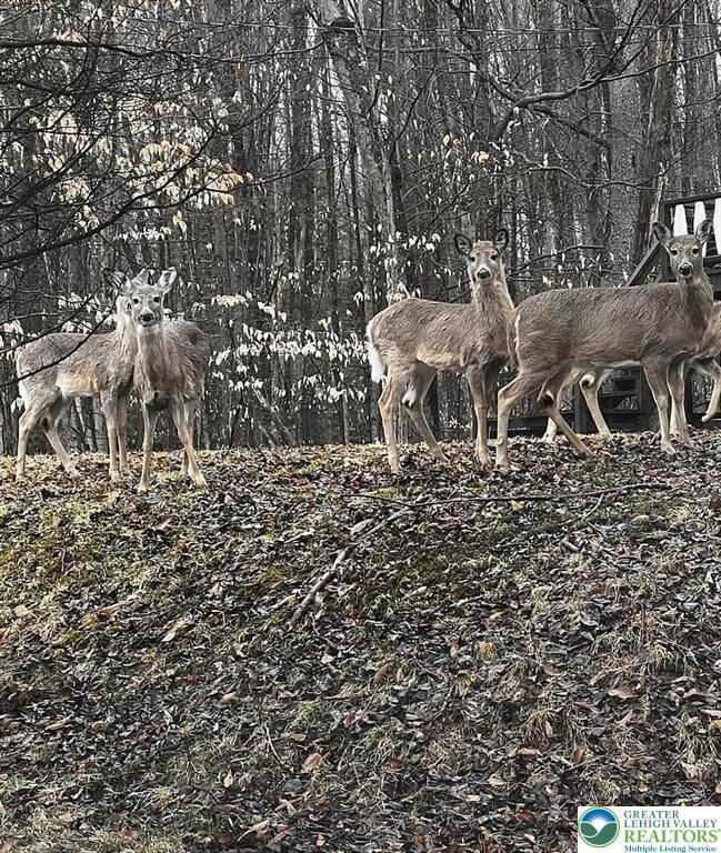 Property Photo:  535 Maxatawny Drive  PA 18347 