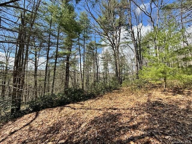 Property Photo: Lot 73.9 Pine Road NY 12737
