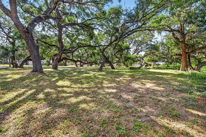 Property Photo:  5355 Bernadette Dr  FL 33541 