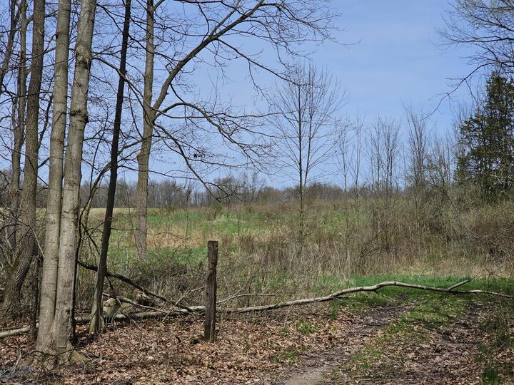 Property Photo:  8475 Ross Road  MI 48860 