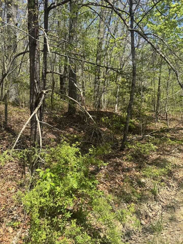 Property Photo:  0 Doe Creek Lake Dr  TN 38583 