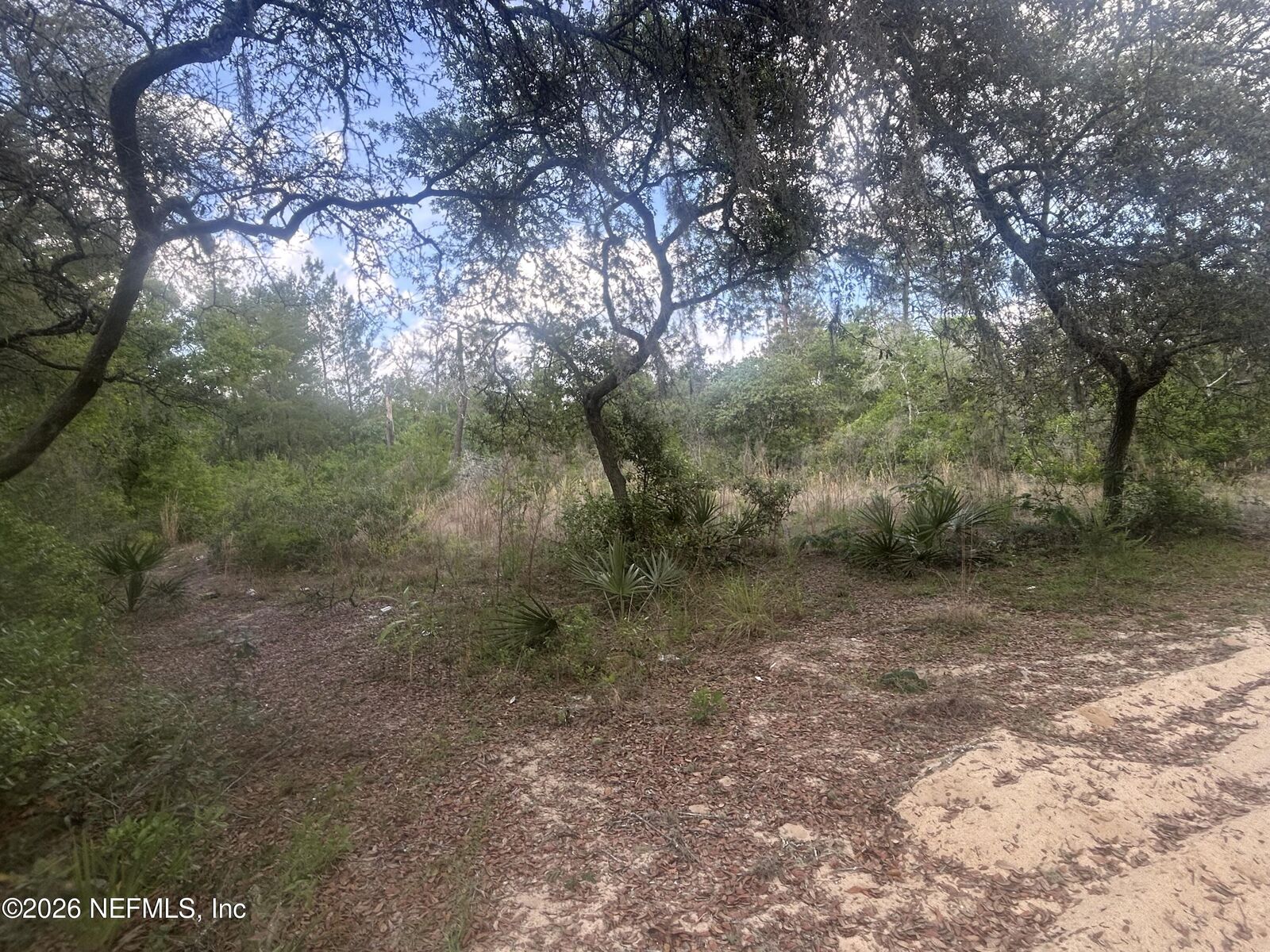 Property Photo:  0 NE 233rd Place  FL 32134 