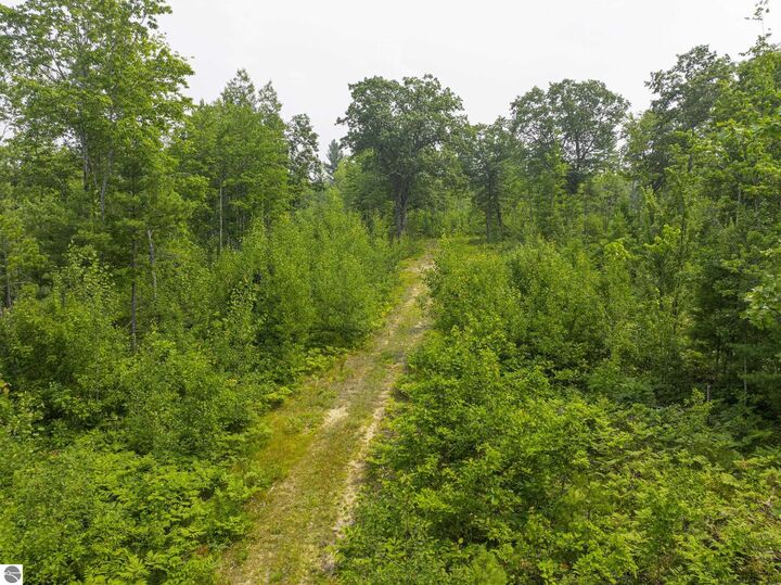 Property Photo:  00 Shady Lane  MI 49646 