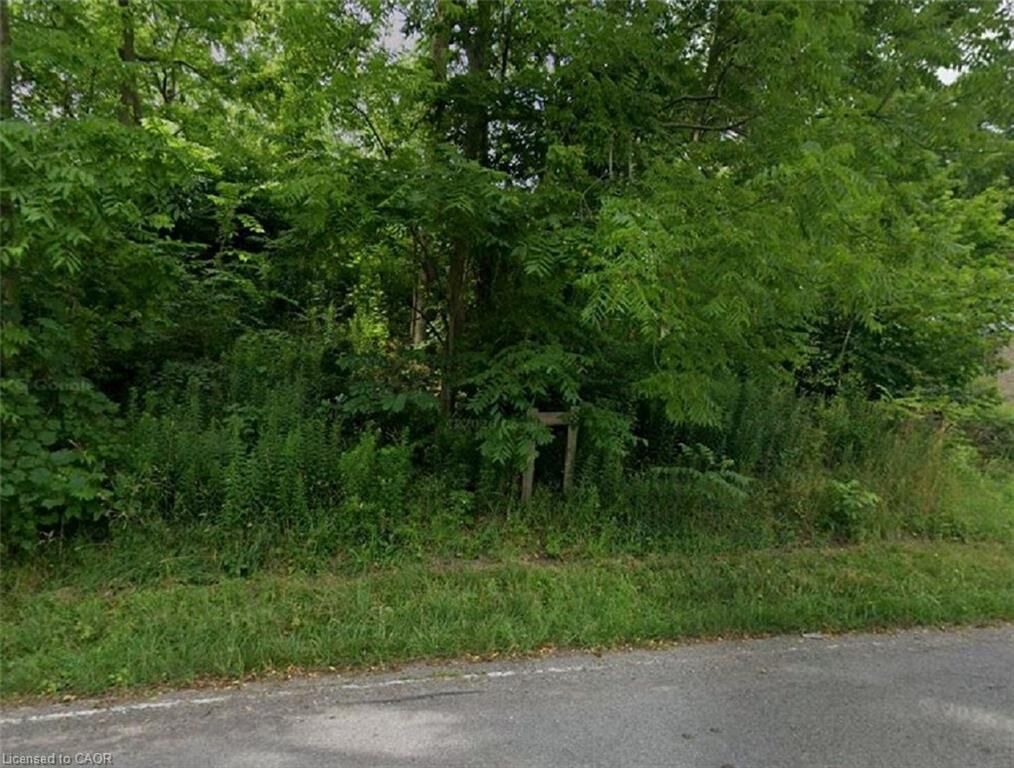 Property Photo:  37 Bradley Street  ON L7T 1R5 