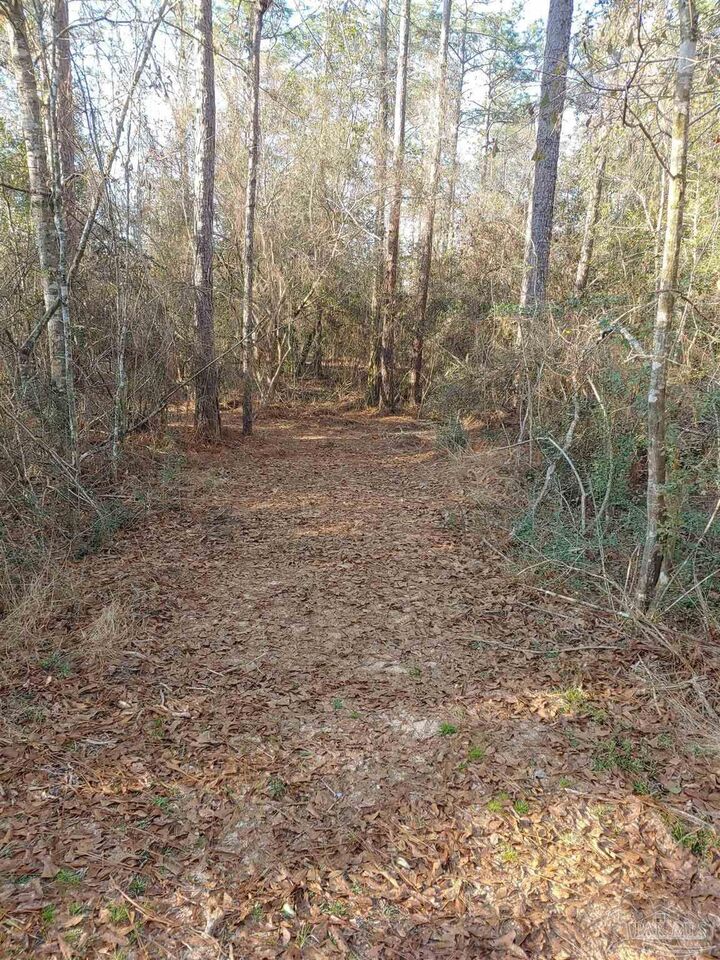 Property Photo:  4874 Seely Rd  FL 32577 