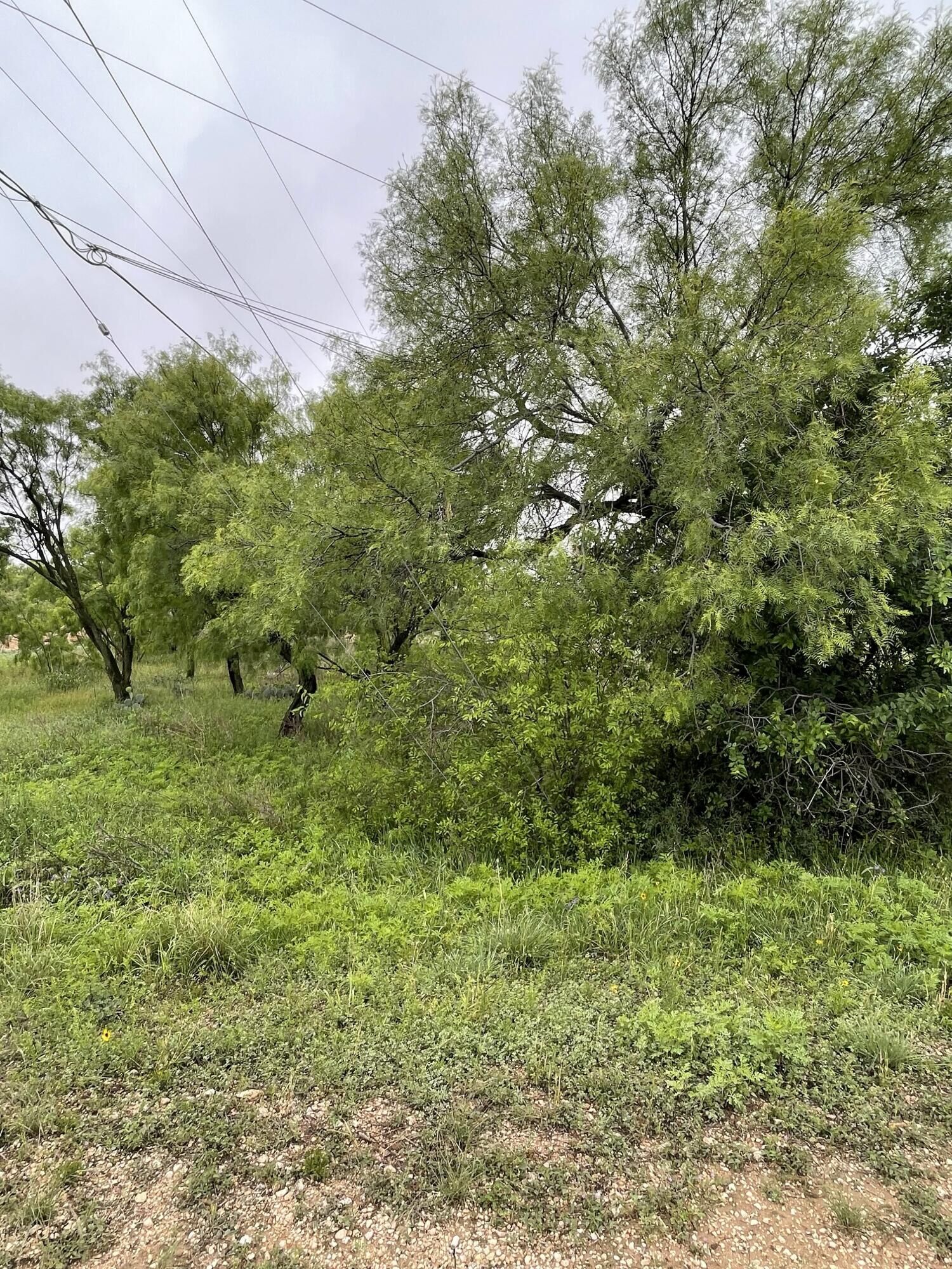 Property Photo:  533 Lake View Heroes Drive  TX 76903 