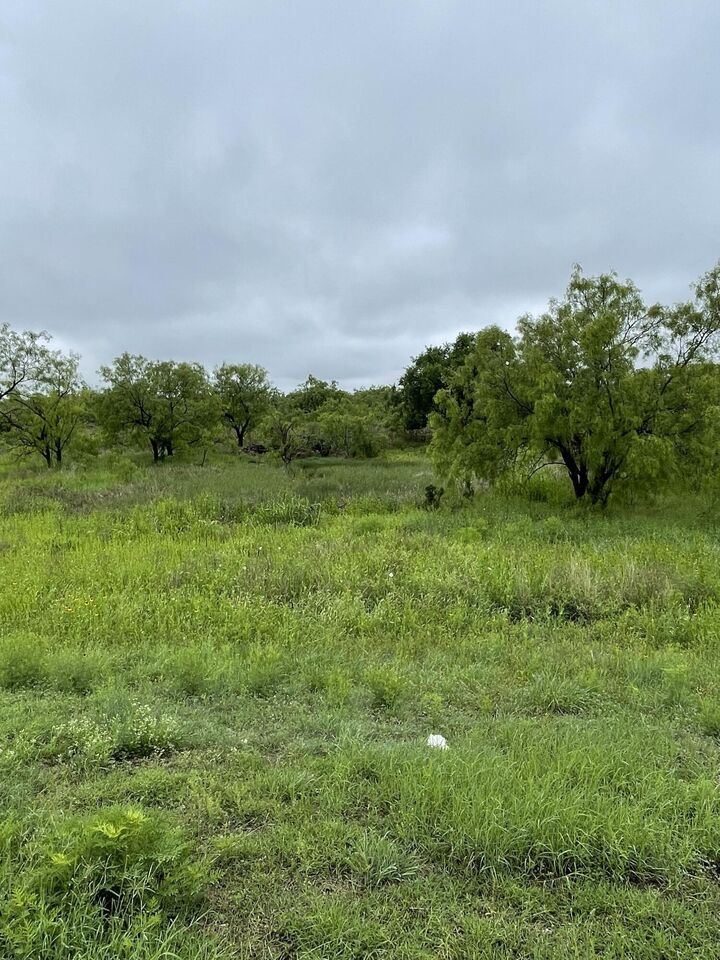 Property Photo:  549 Lake View Heroes Drive  TX 76903 