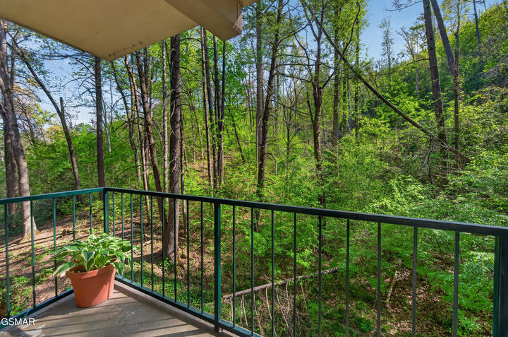 Property Photo:  413 Baskins Creek Road  TN 37738 