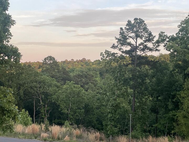 Property Photo:  3000 Orchard Crest Drive  AR 72034 