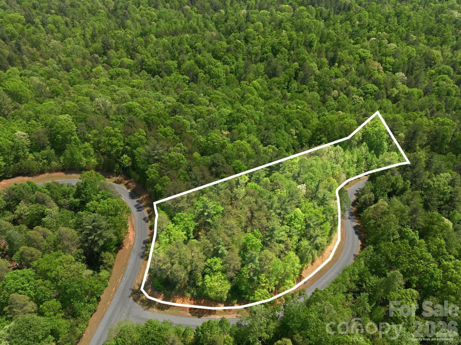 Property Photo:  Lot 40 Larkhaven Drive  NC 28761 