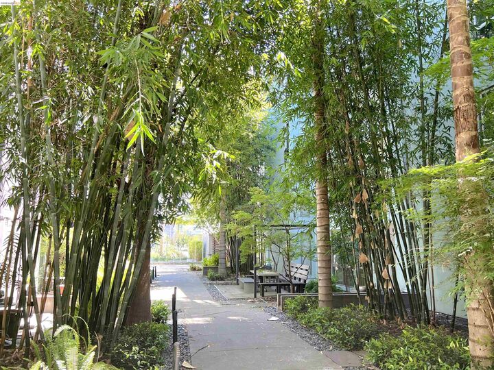 Property Photo:  1253 Pine St  CA 94607 