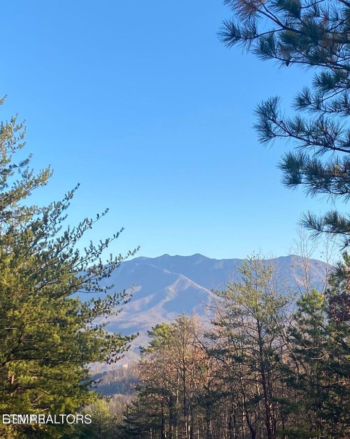 Property Photo:  Lightning Bug Way D 7  TN 37738 