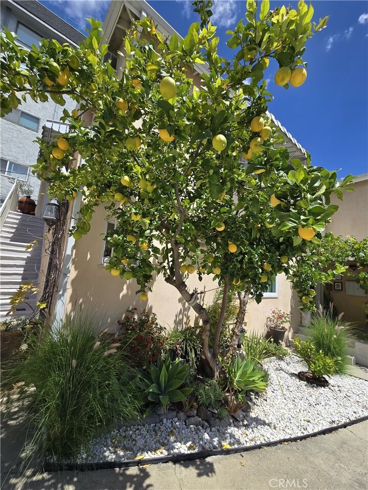 Property Photo:  1129 N Clark  CA 90069 