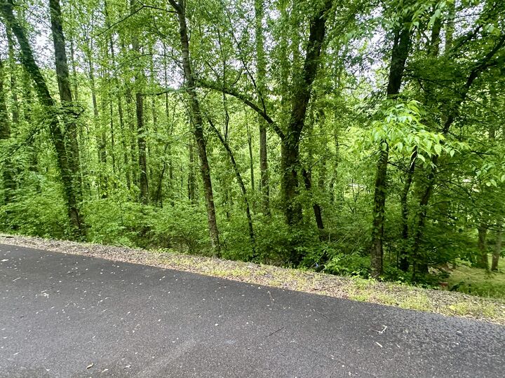 Property Photo:  0 Baymont Dr  TN 38569 
