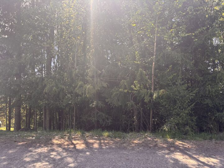 Photo de la propriété:  Lot 8 Stampede Trail  BC V0E 1M8 