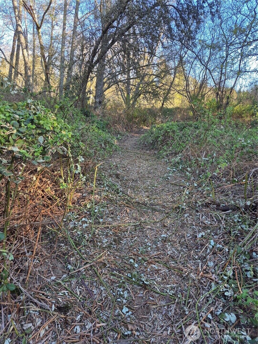 Property Photo:  28 Lot NE Sipes Lane  WA 98311 