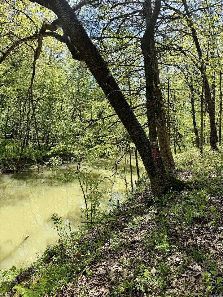 Property Photo:  000 Treva Lane  AR 72830 