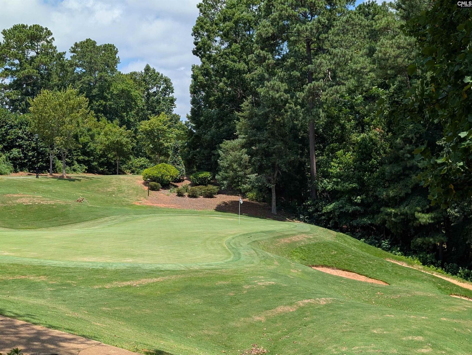 Property Photo:  1060 Coogler Crossing  SC 29016 