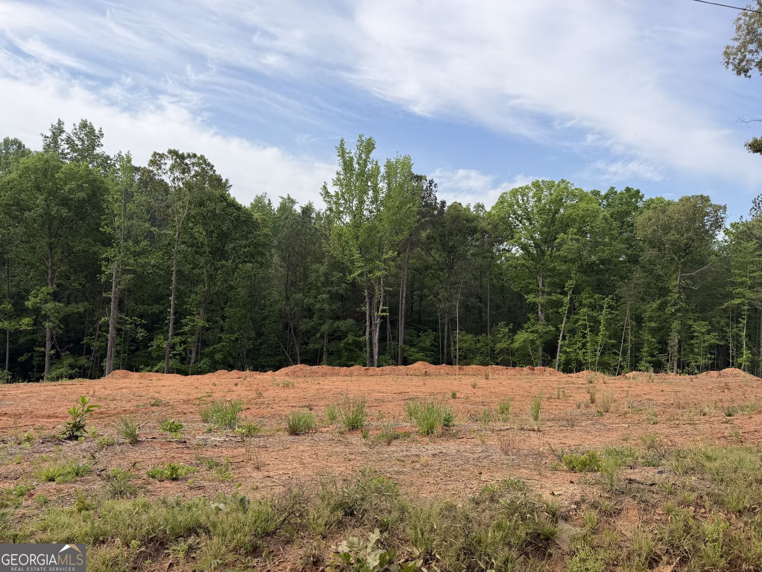 Property Photo: 1492 English Road GA 31029