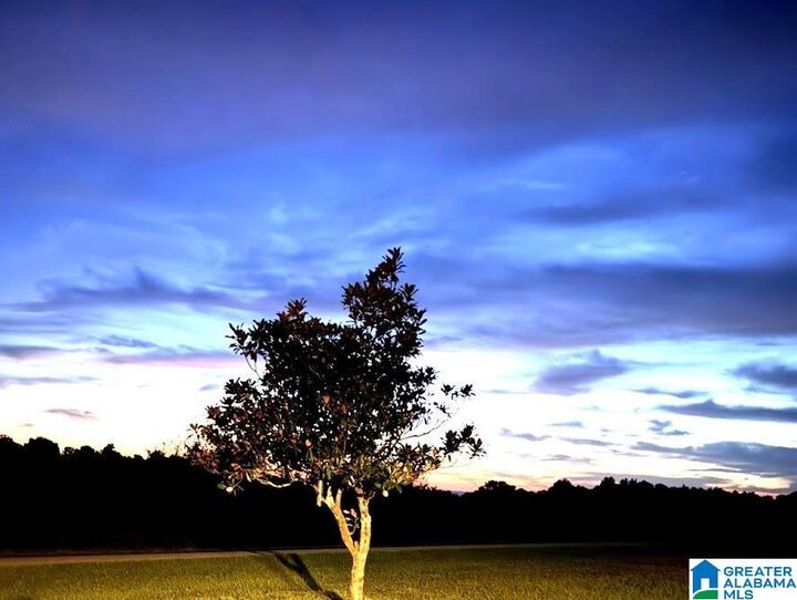 Property Photo:  17560 County Road 87  AL 36280 