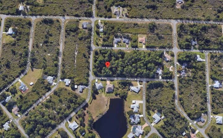 Property Photo:  12519 Patsy Avenue  FL 33981 