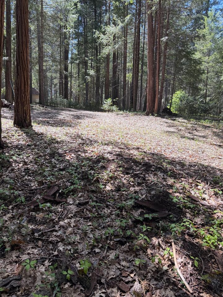 Property Photo:  17889 Lightfoot Way  CA 95959 