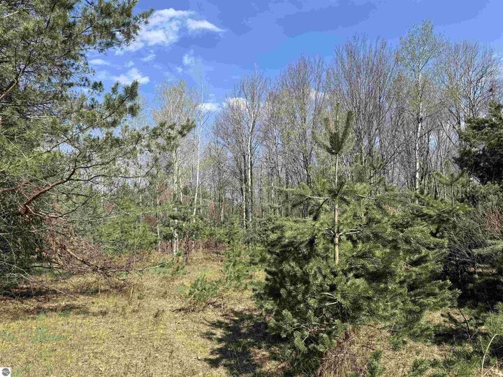Property Photo:  Tbd N Loomis Road  MI 48617 
