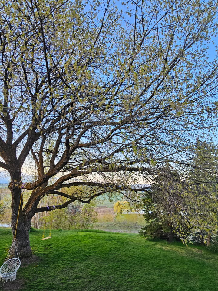 Property Photo: 49 Preston Drive MT 59901