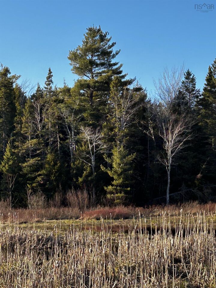 Property Photo:  Lot Ean-1B West Tatamagouche Road  NS B0K 1V0 
