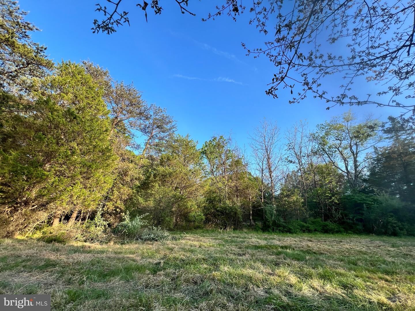 Property Photo:  13109 Thornton  VA 20155 