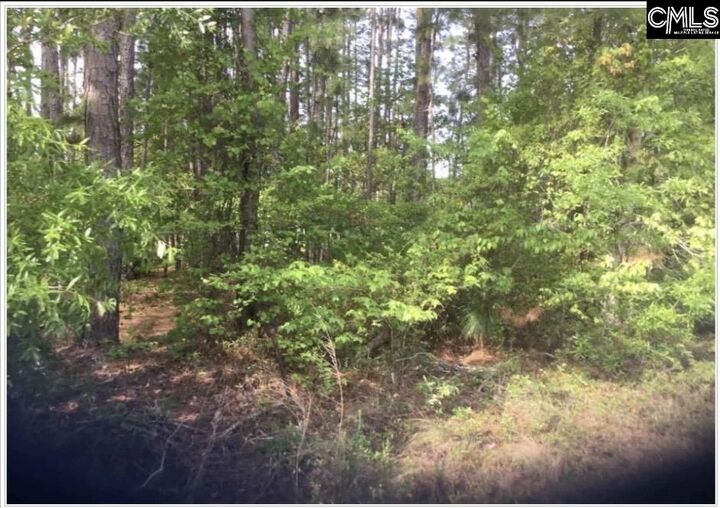 Property Photo:  N/S Percival  SC 29229 