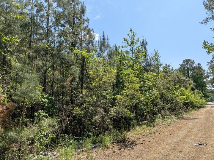 Property Photo:  0 Dorton Creek Drive  GA 31816 