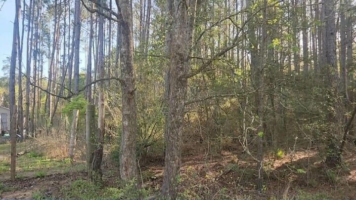 Property Photo: Lot 5 Walnut Tree Lane TX 77363