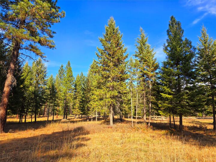 Property Photo:  19 Faro Lane  MT 59874 